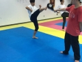 martial-arts-kicking