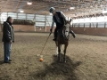 polo-on-horse-hitting-ball